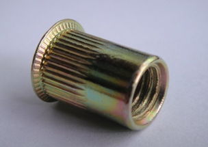 工廠直供，品質保障 佛山市南海颶鑫五金制品廠鍍鋅M6小頭豎紋鉚螺母產品解析